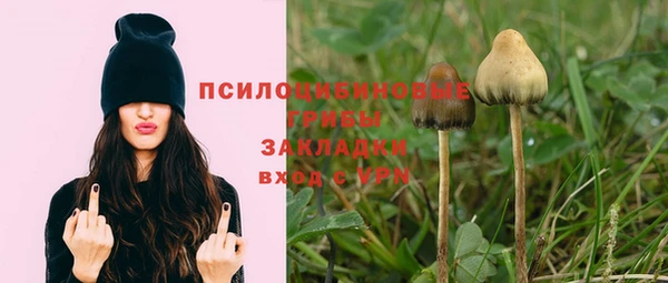 мет Арсеньев