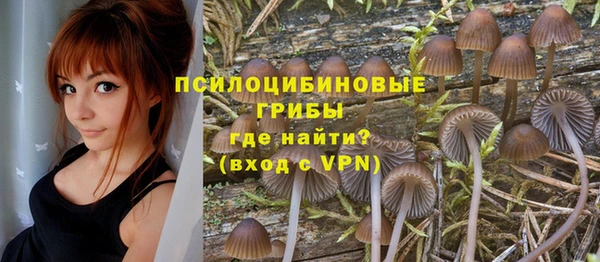мет Арсеньев