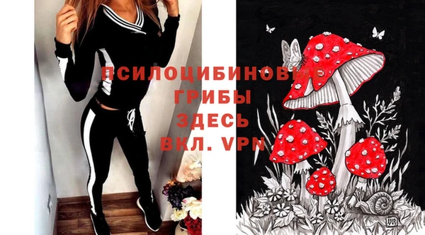 мет Арсеньев