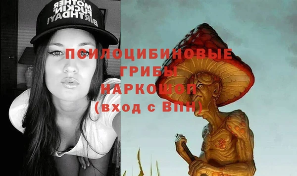 мет Арсеньев