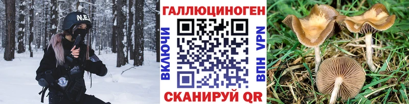что такое наркотик  ссылка на мегу ONION  Псилоцибиновые грибы ЛСД  Новомичуринск 
