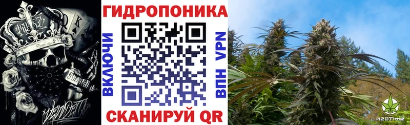 Каннабис LSD WEED  закладка  Новомичуринск 